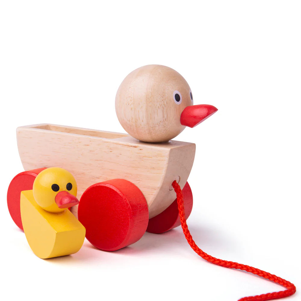 Figurine à tirer canard avec instantané