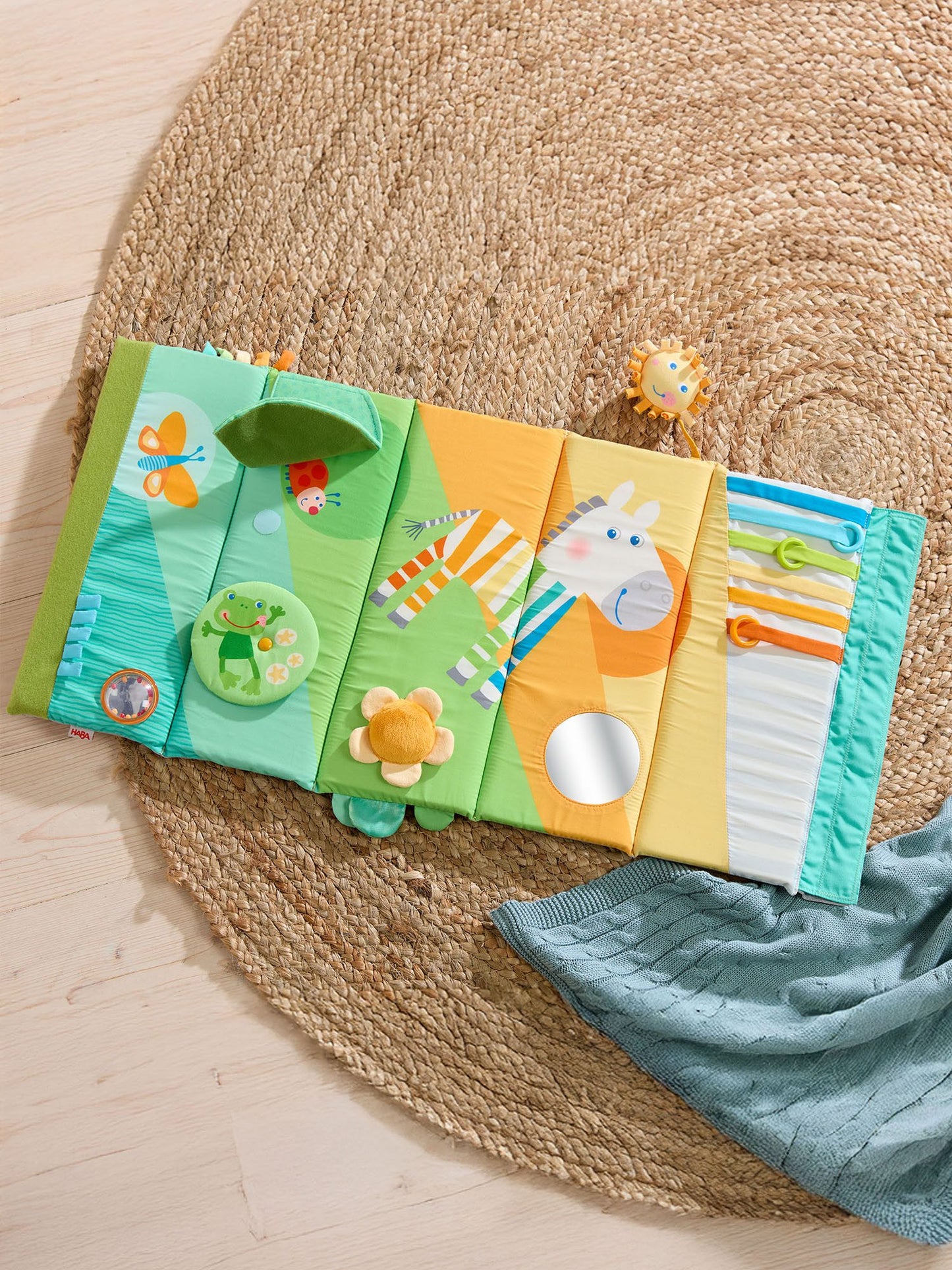 Ontdekkingsrol zebra