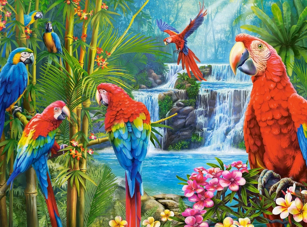 puzzel Parrot meeting 2000pc