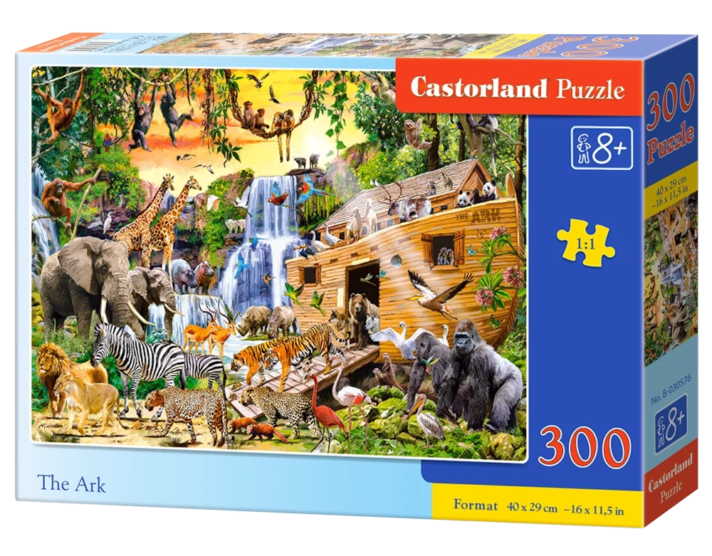 chatons dans un magasin de laine 300pc