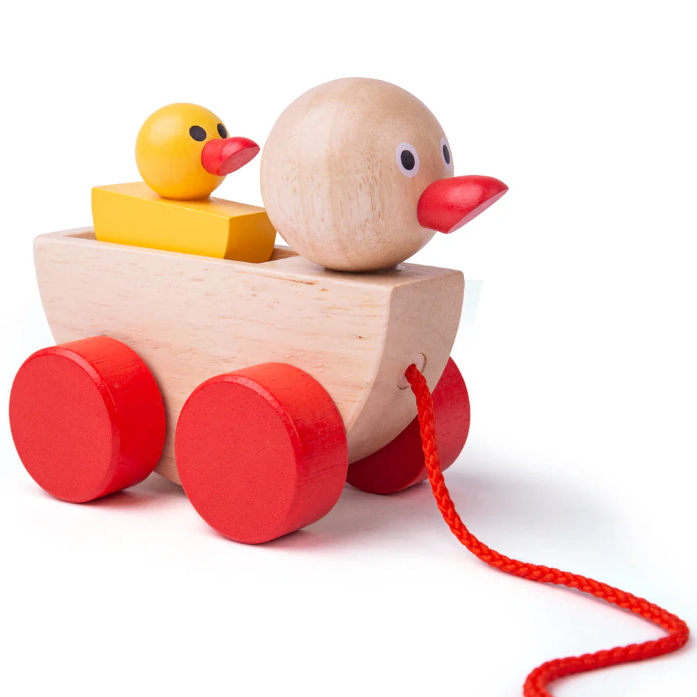 Figurine à tirer canard avec instantané