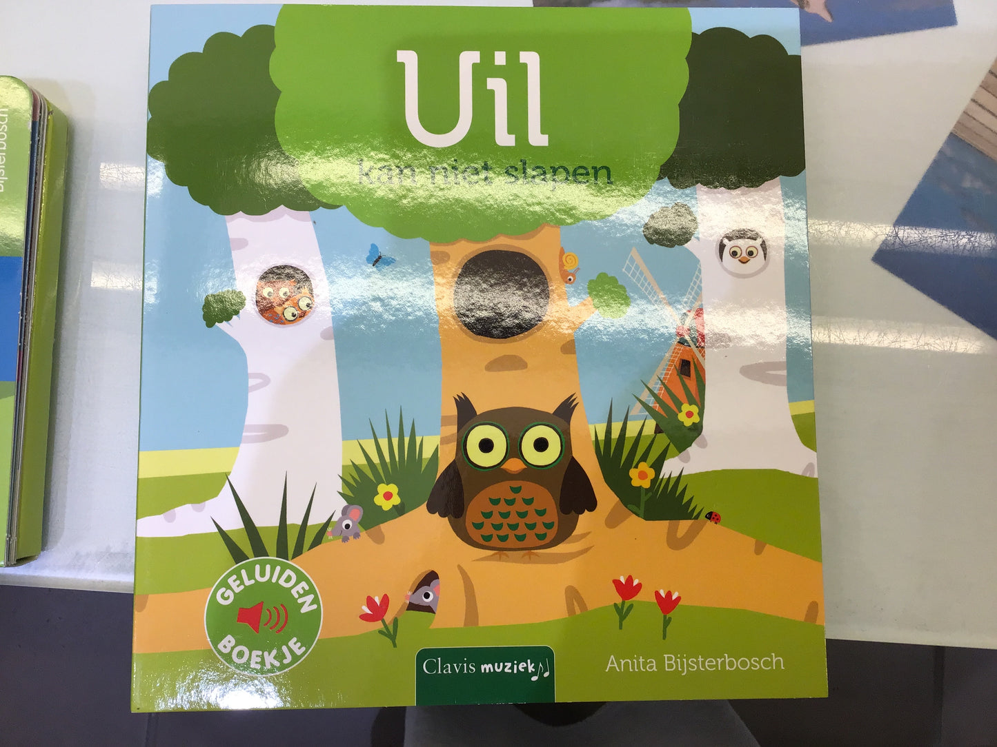Livre sonore Le hibou qui ne peut pas dormir NED