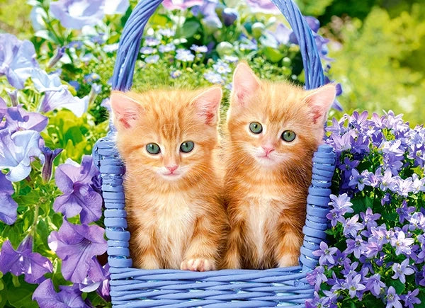 puzzel Ginger kittens 70pc