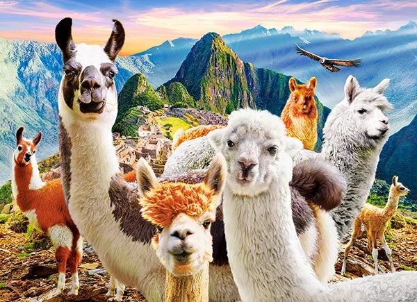 puzzel Llamas selfie 200pc