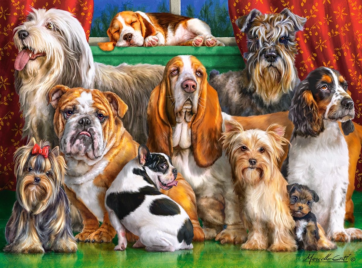 puzzel Dog club 3000pc