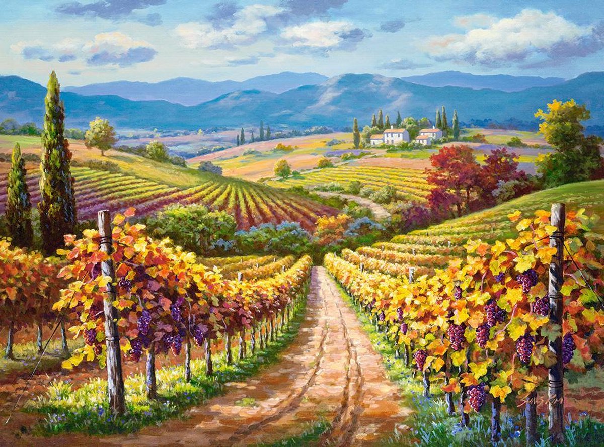 puzzel Vineyard Hill 3000pc