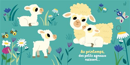 livre petits imagiers sonores au fil des saisons FRA