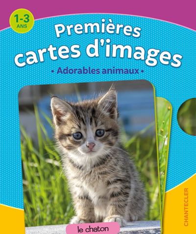 premières cartes animaux mignons FRA