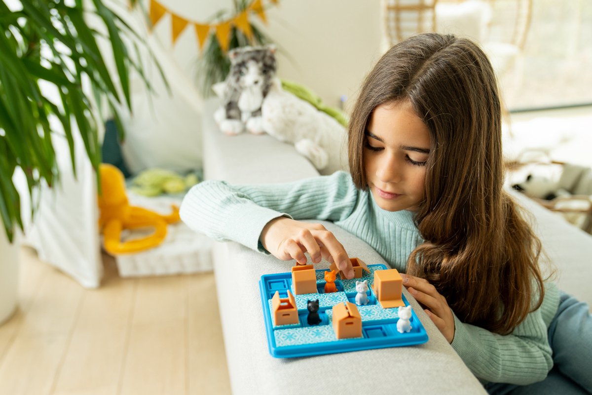 jeux intelligents chats et boîtes