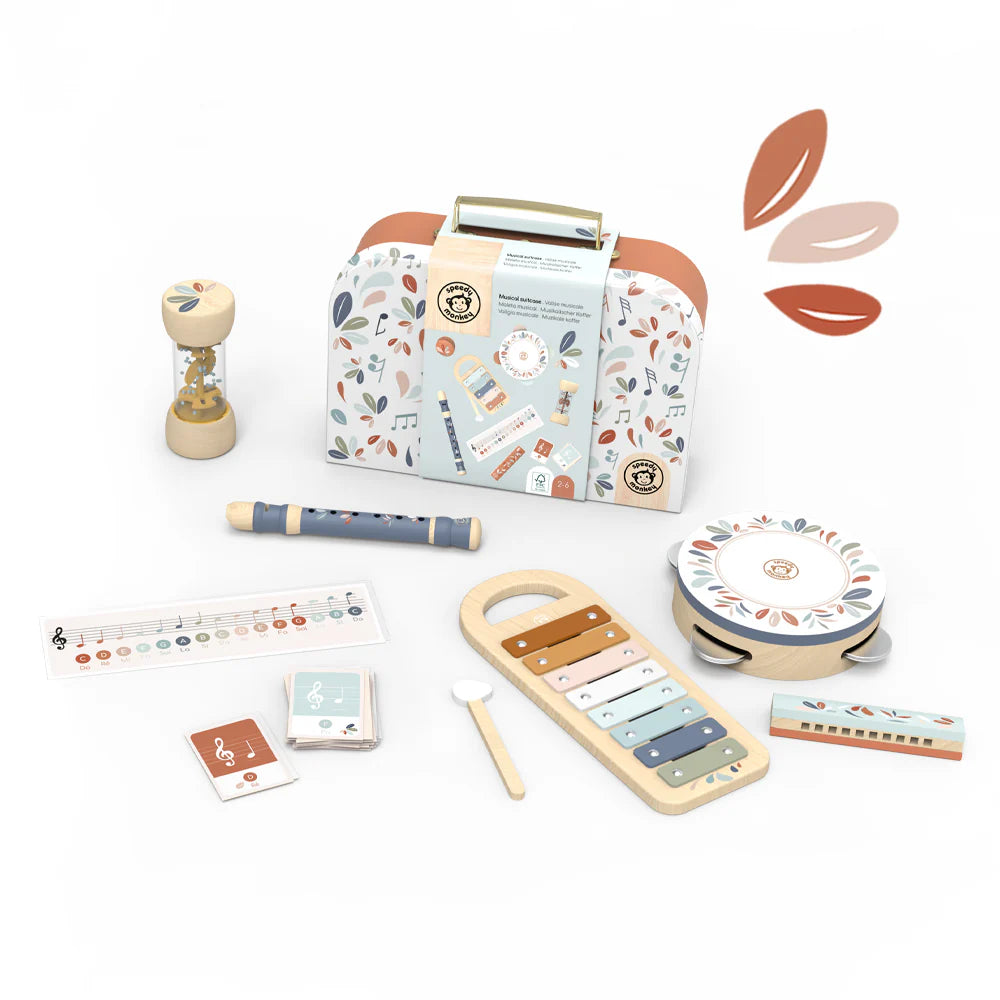 complete set houten muziekinstrumenten in valiesje
