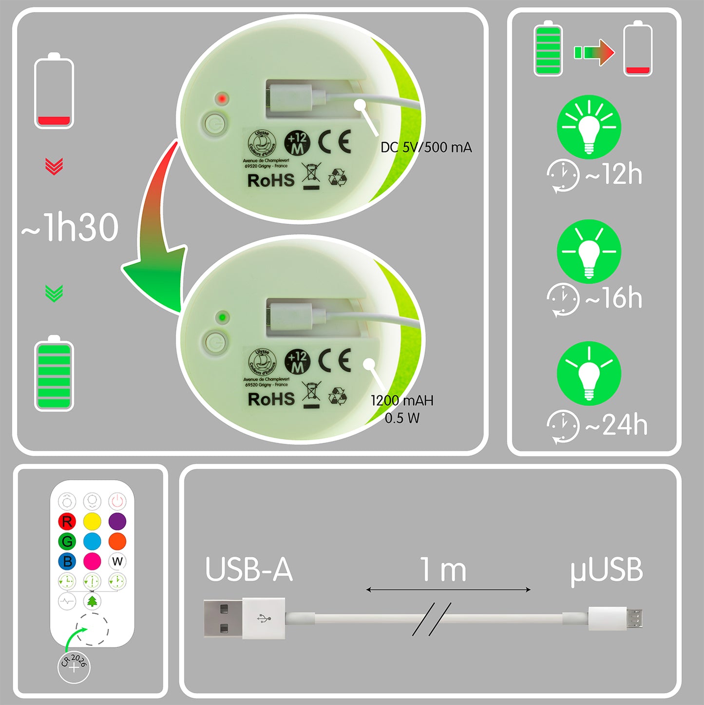 Nachtlampje leeuw - veilleuse lion