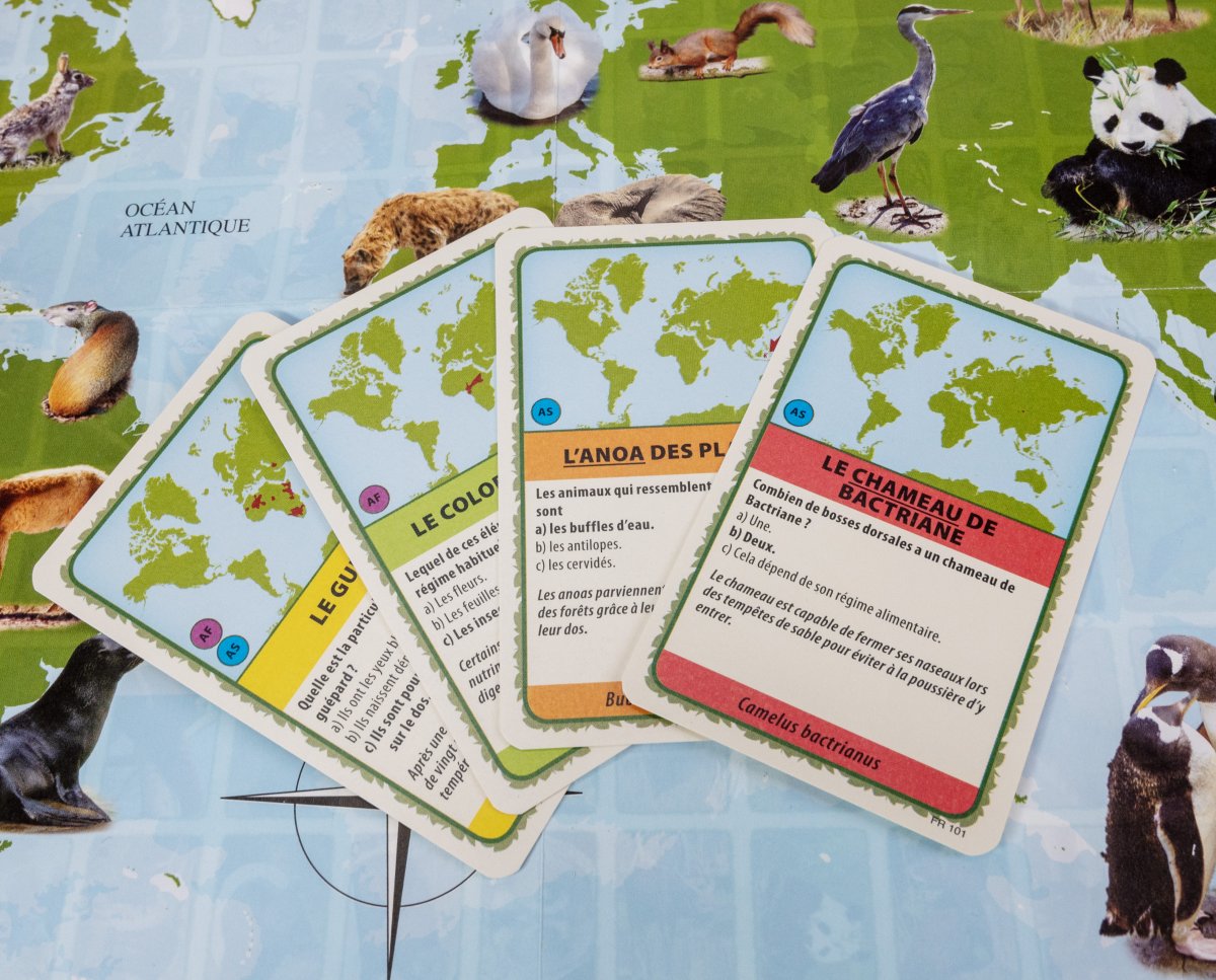 Animaux du monde FRA