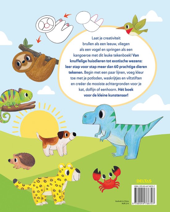 Livre animaux à dessiner FR