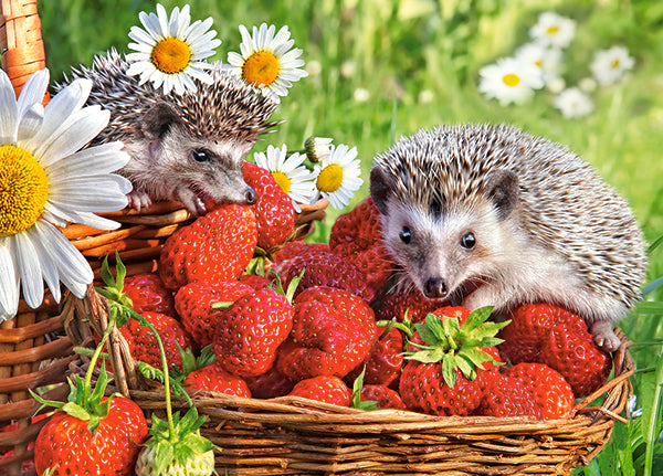 puzzel aardbeien dessert 260pc