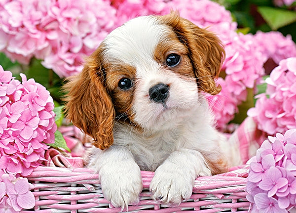 Puzzel pup in pink flowers 180pc