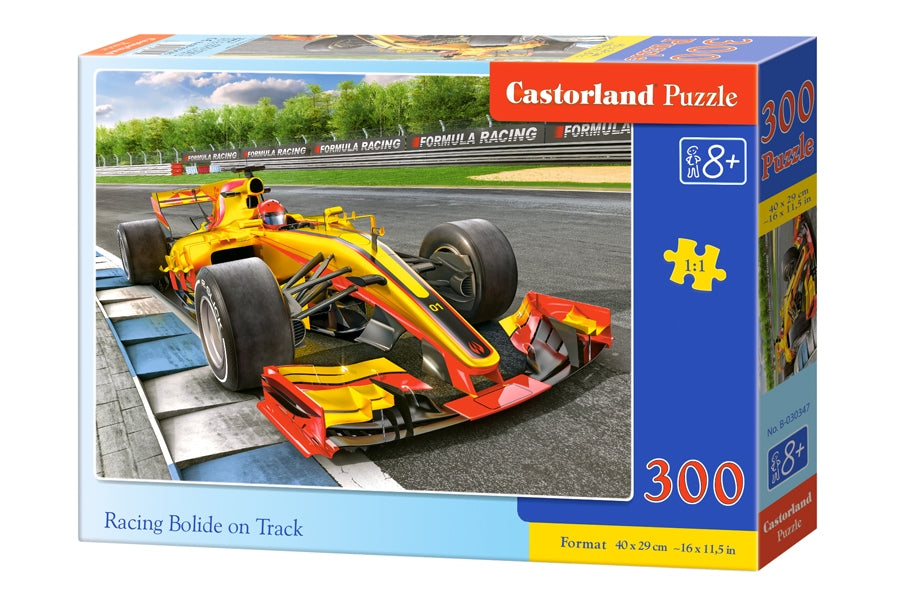 Puzzel racing bolide on track 300pc
