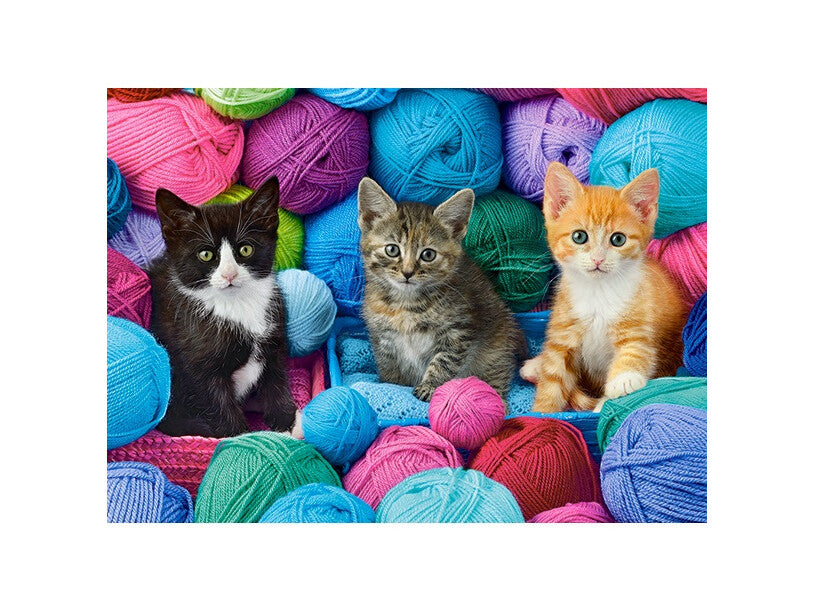 Puzzle chatons dans un magasin de laine 300pc