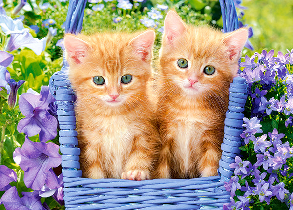 puzzel ginger kittens 60pc
