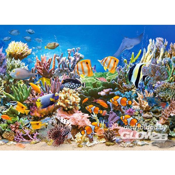 puzzel in karton 260pc de kleuren van de oceaan