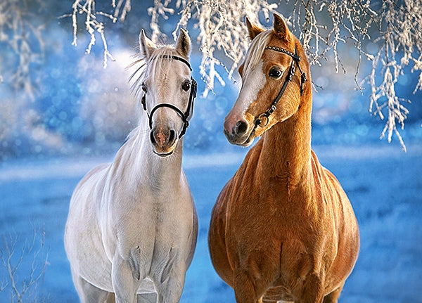 puzzel the winter horses 260pc