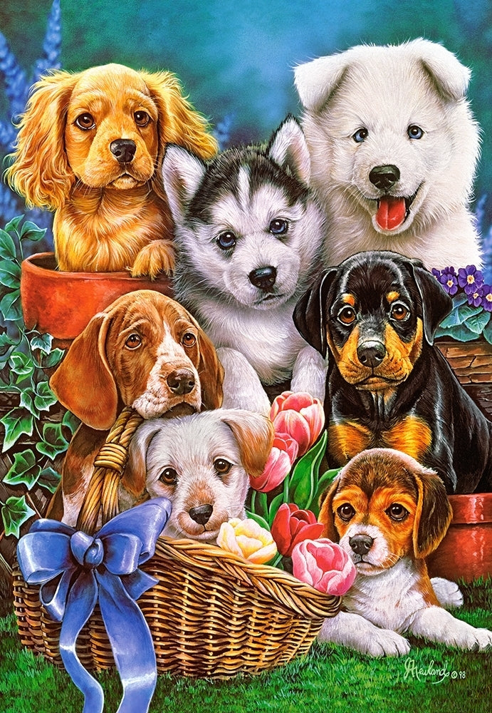 puzzel Puppies 1000pc