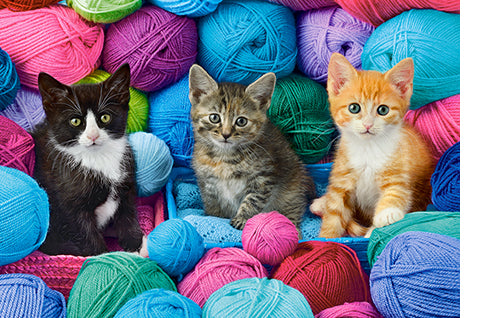 puzzel kittens in yarn store 1000pc