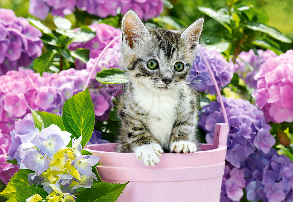 puzzel kitten in basket 1500pc