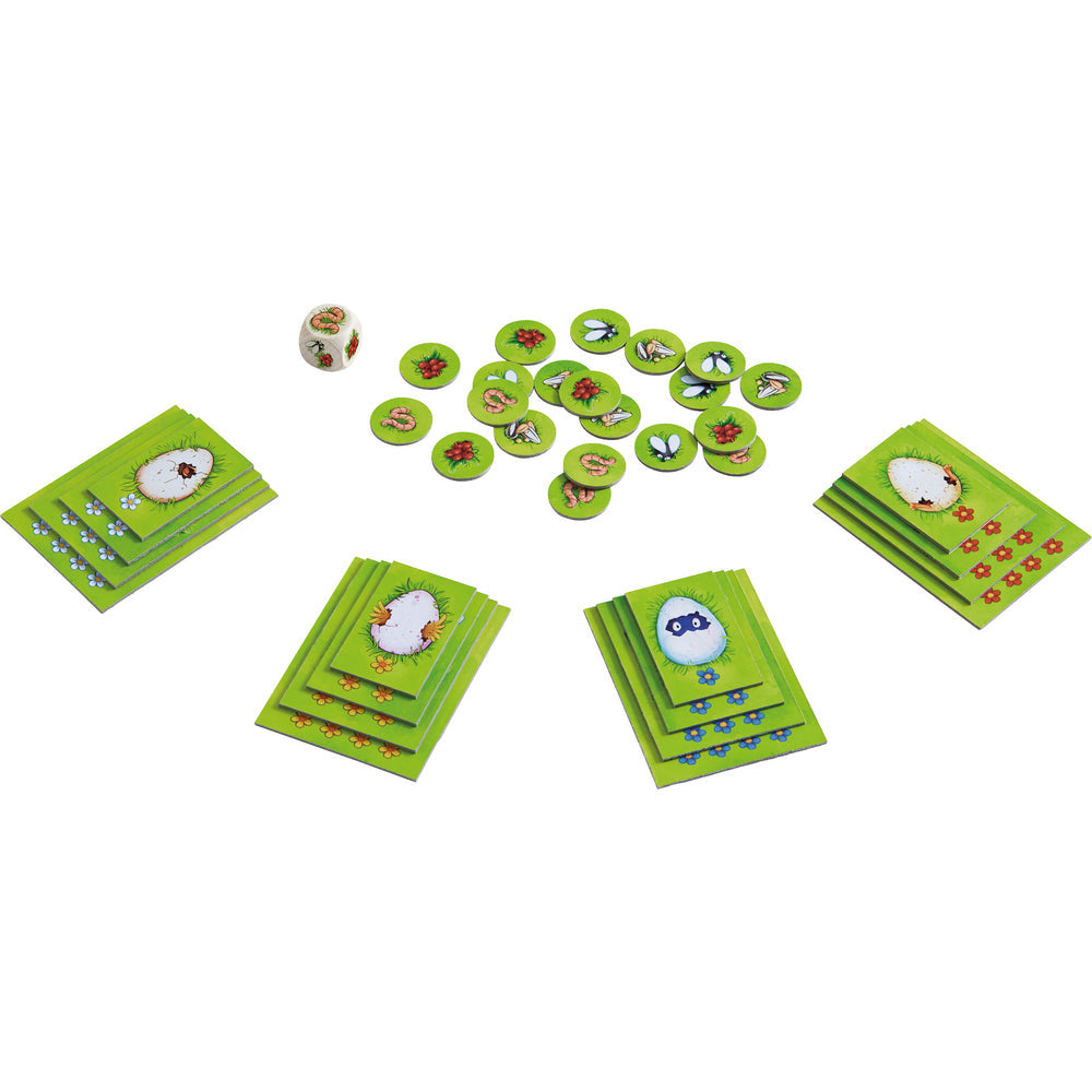 kleine vogel, grote honger- NED