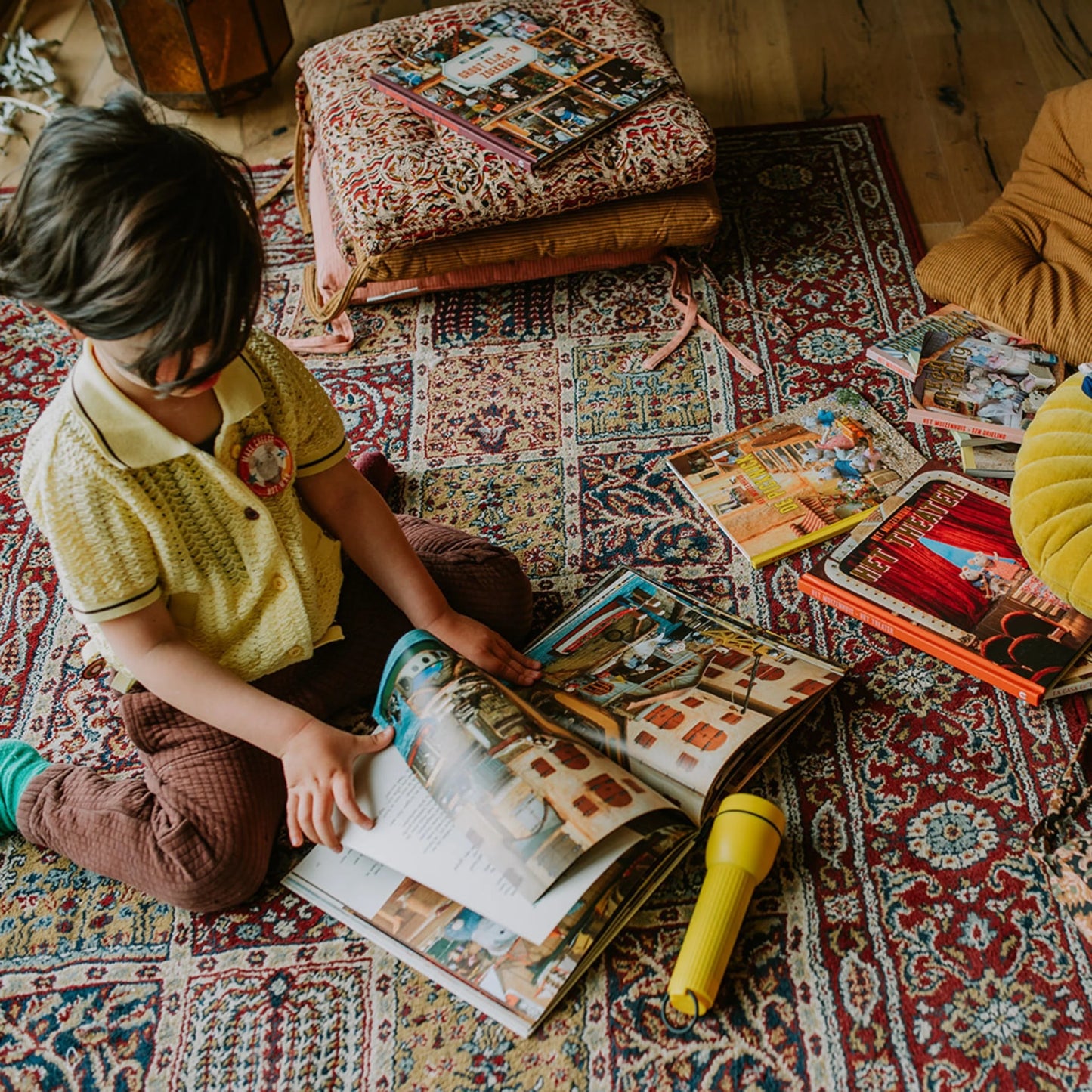 boek het muizenhuis het circus deel 3