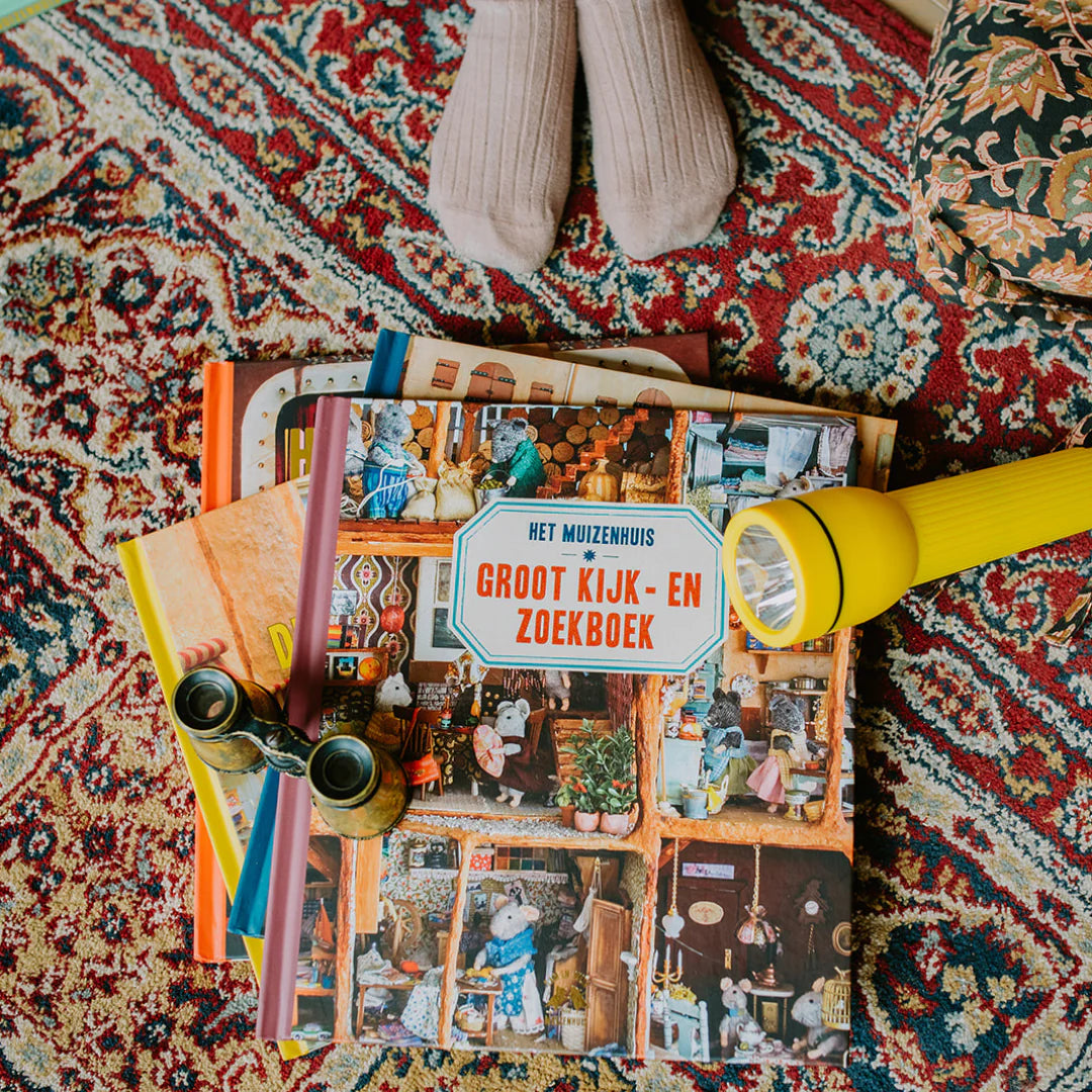boek het muizenhuis groot kijk- en zoekboek