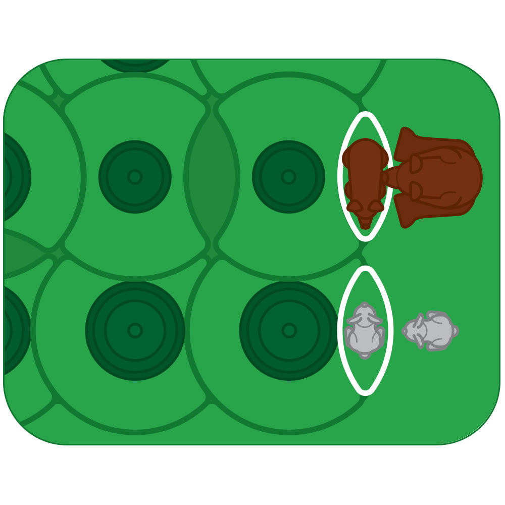 jeux intelligents engrenages Grizzly