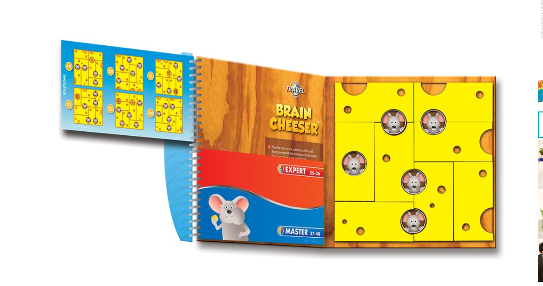 smartgames magnetic  Brain cheeser