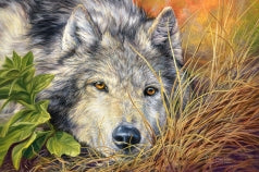 Puzzel Pure soul 500pc