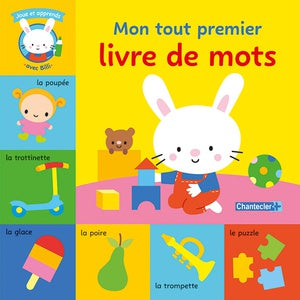 mon tout premier livre de mots- joue et apprends avec Billi FRA