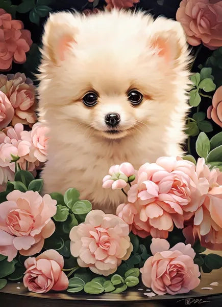 puzzel Pomeranian Puppy in Roses 300pc