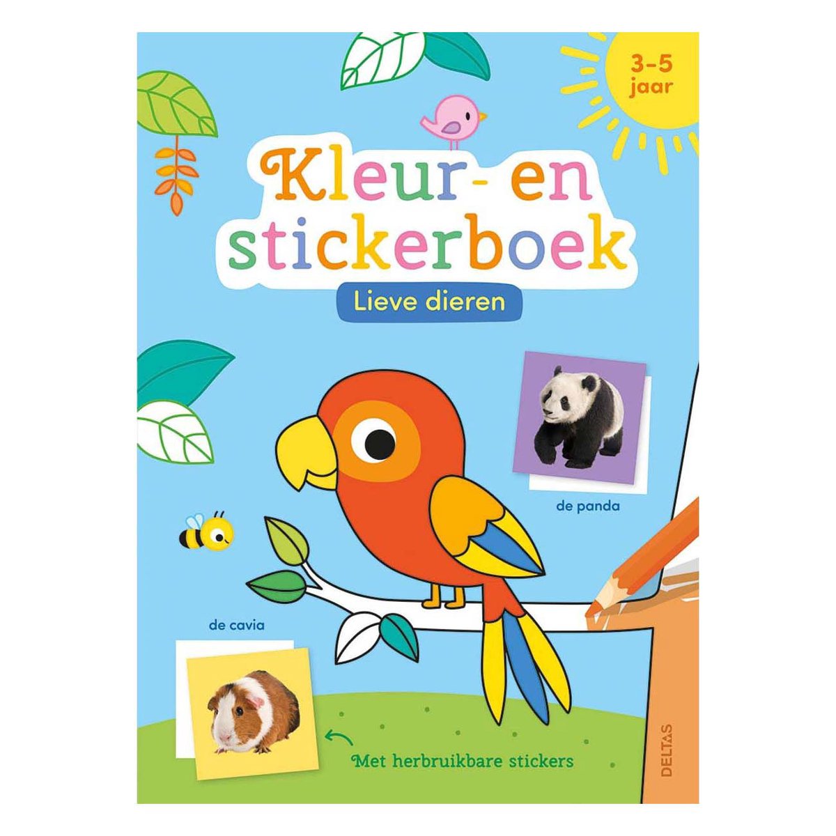 livre de coloriage et d'autocollants avec mots - tous véhicules NED