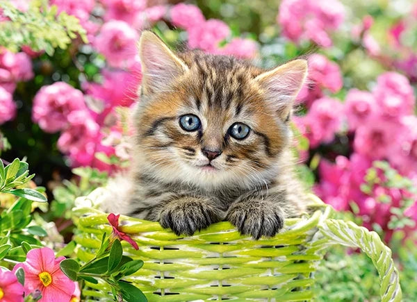 puzzel Kitten in flower garden 100pc