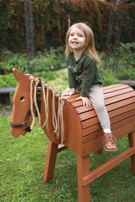 houten paard groot