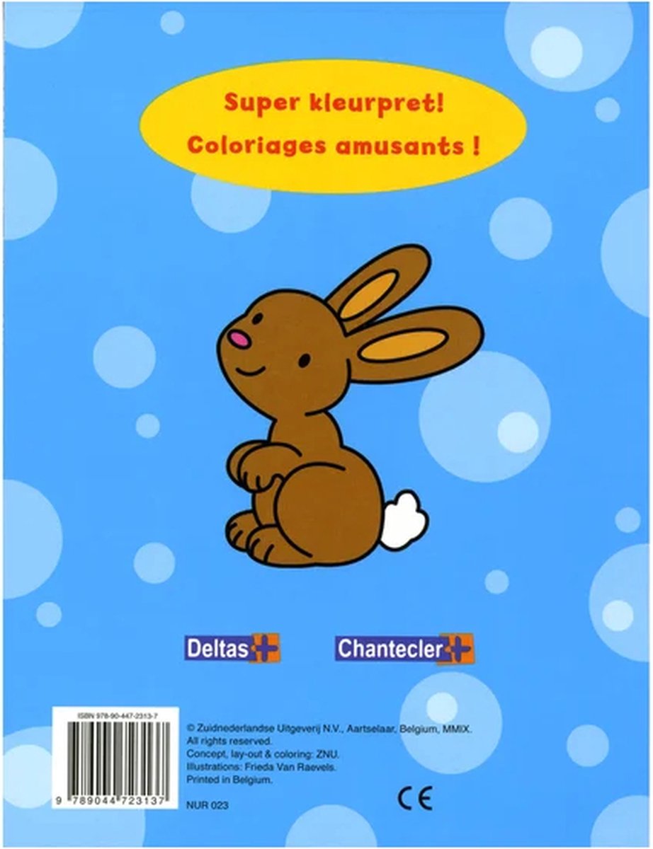 livre de coloriage crazy color