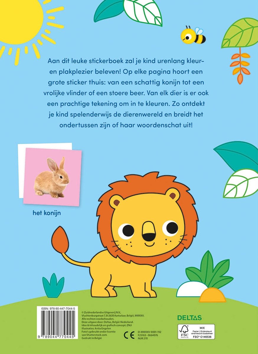 livre de coloriage et d'autocollants avec mots - tous véhicules NED