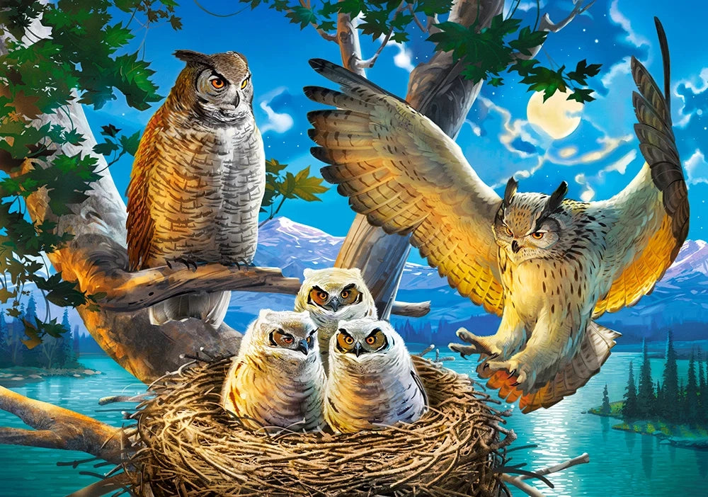 Puzzel Owl Family 500pc