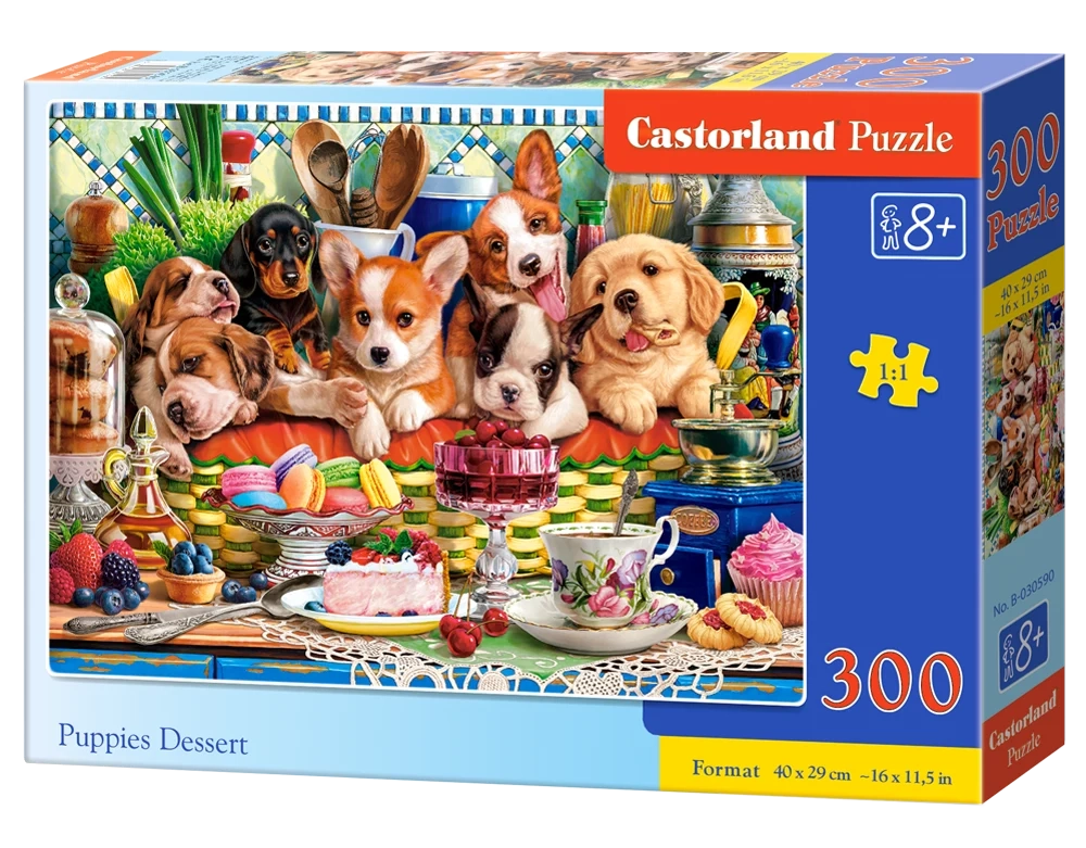 chatons dans un magasin de laine 300pc