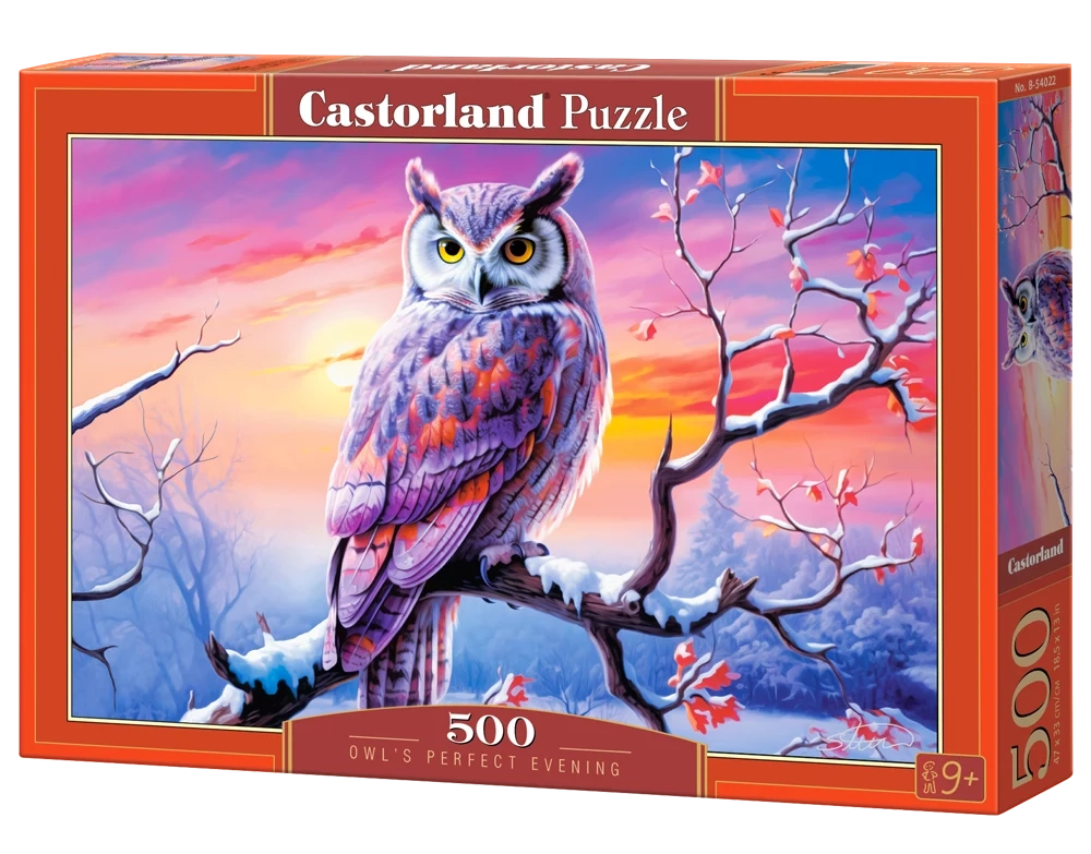 Puzzle  le matin parfait de l'hibou 500pc