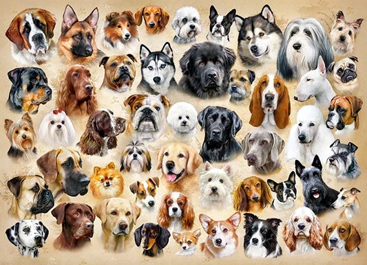 Puzzle Animaux de la savane 200pc