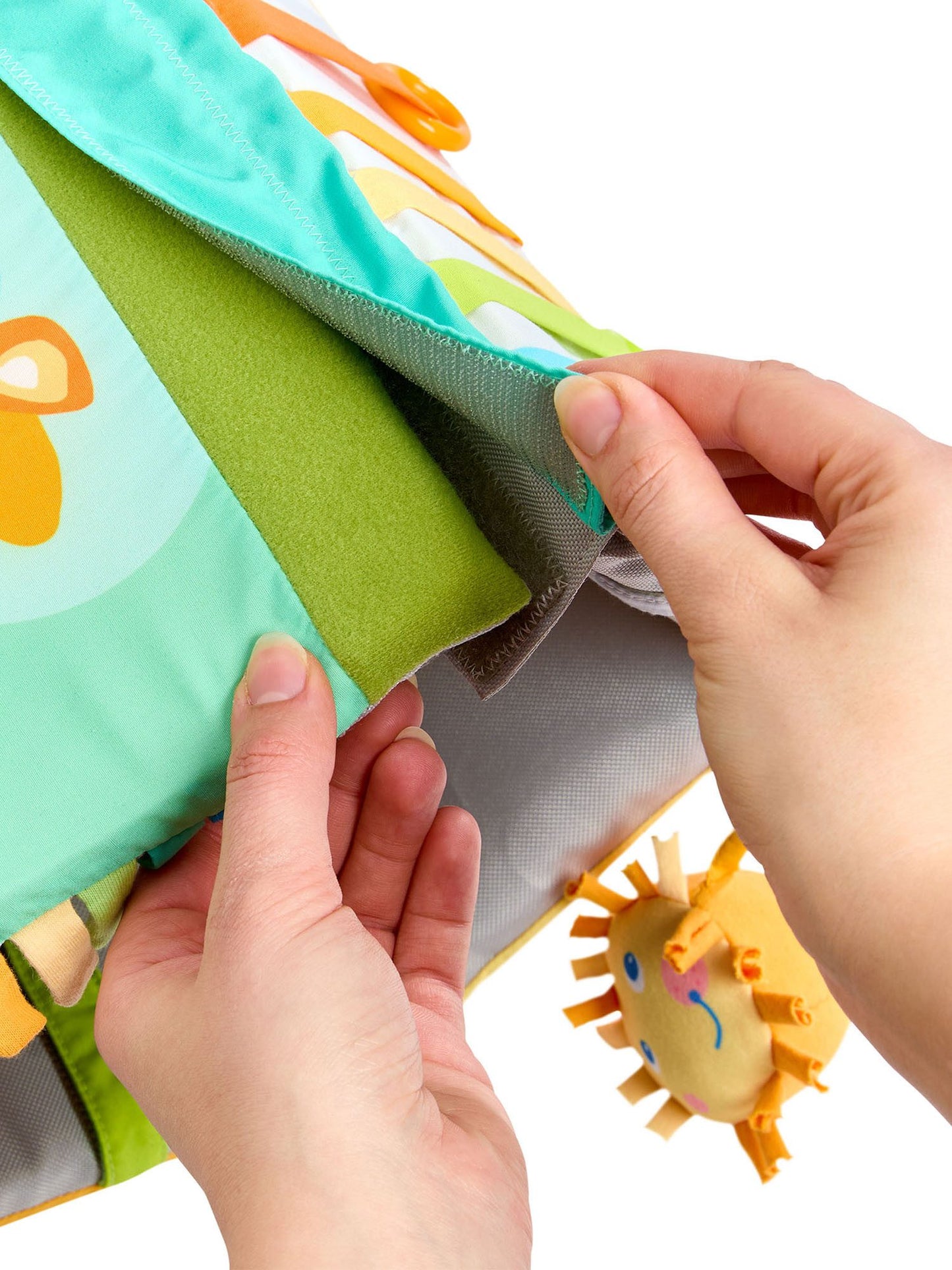 Ontdekkingsrol zebra