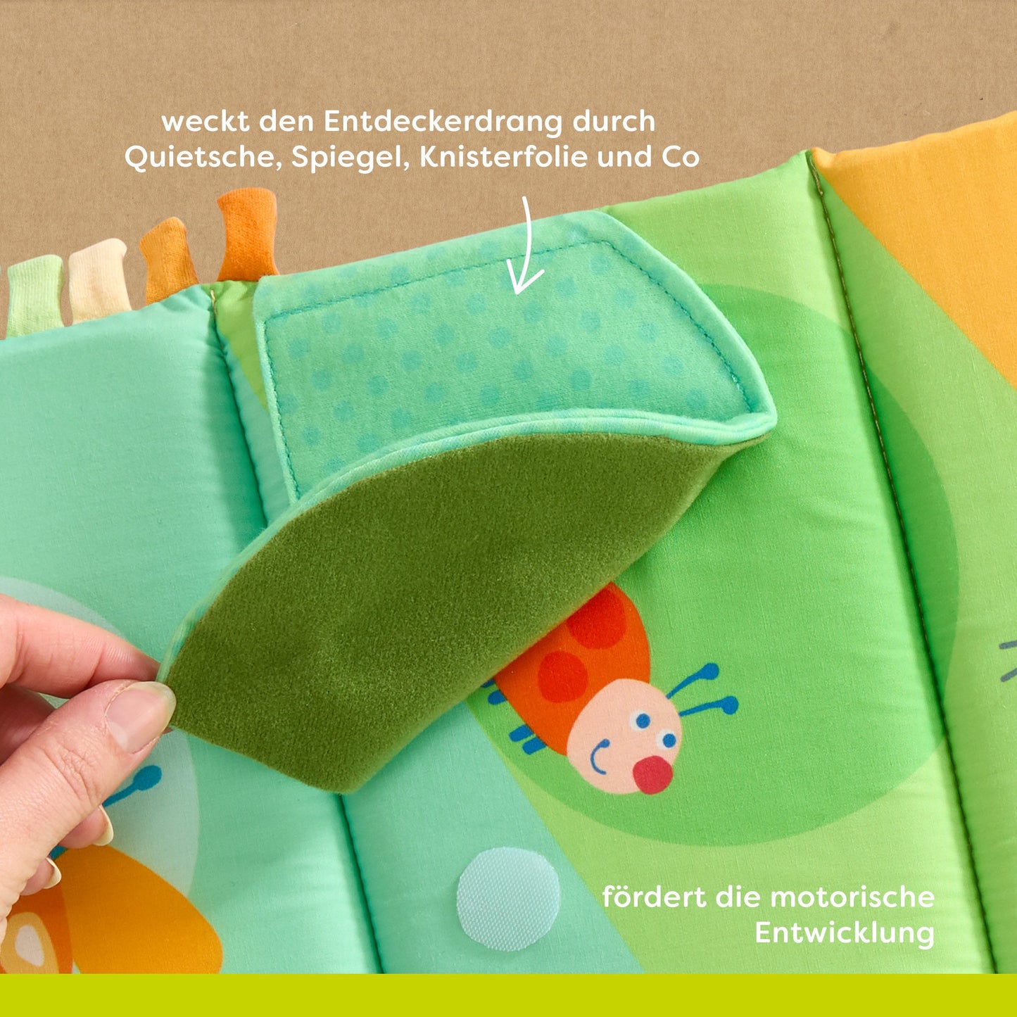 Ontdekkingsrol zebra