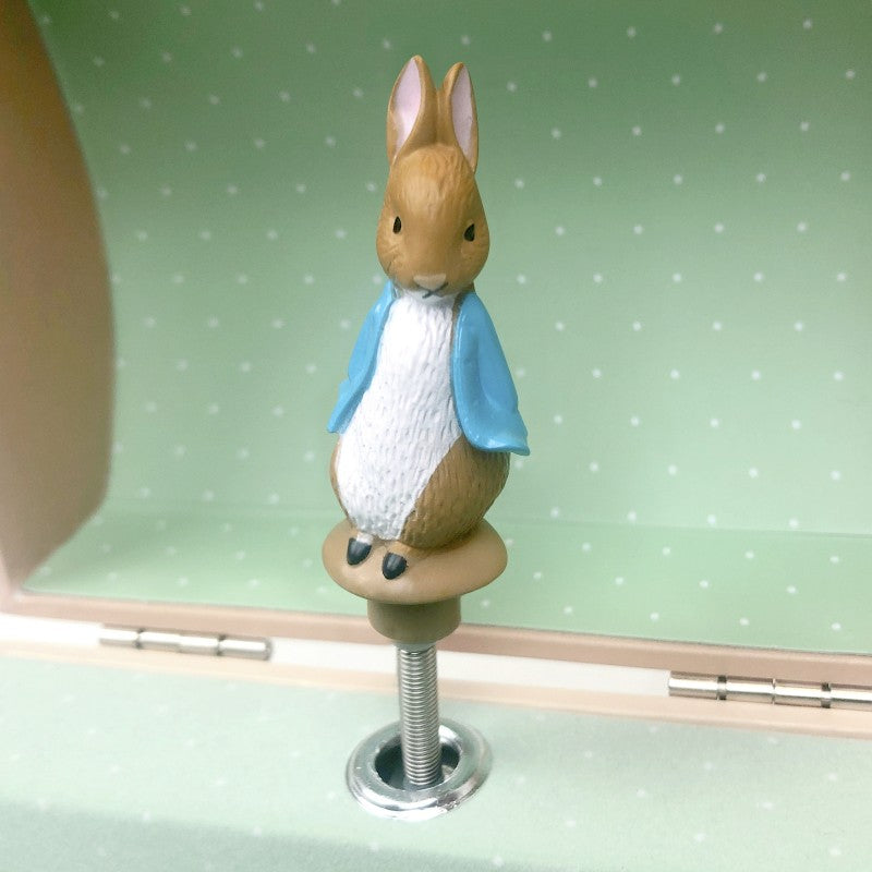 spaarpot- juwelenkistje met muziek peter rabbit nuts