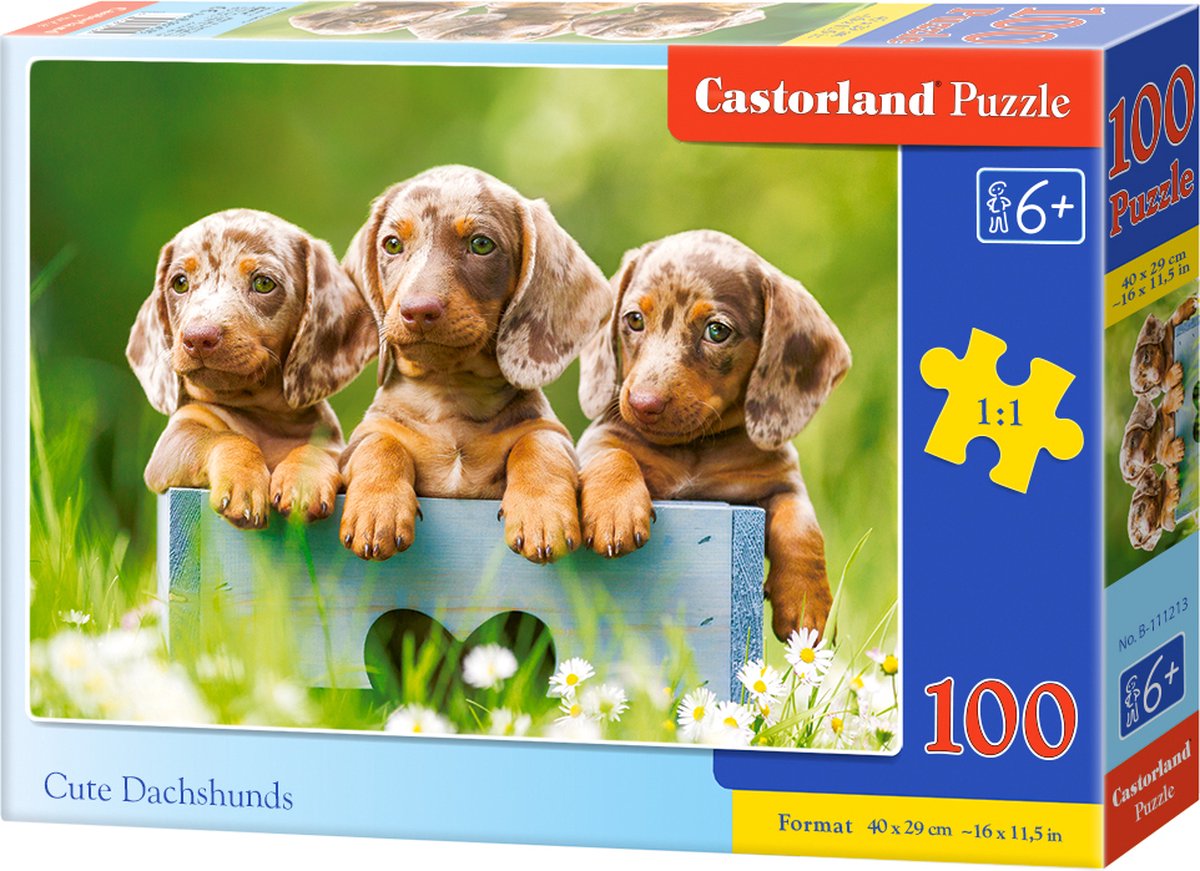 puzzel cute dachshunds 100pc