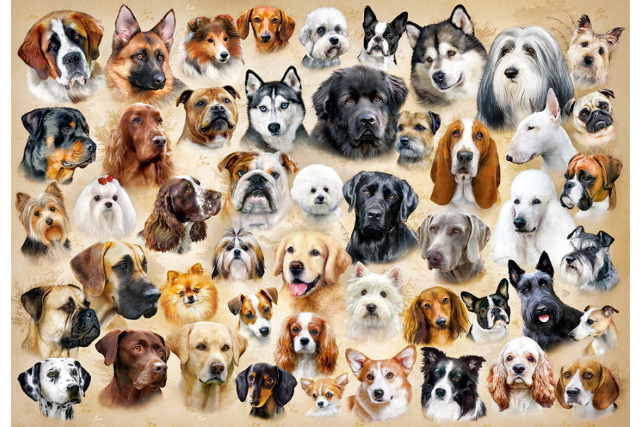 puzzel Collage with dogs 200pc