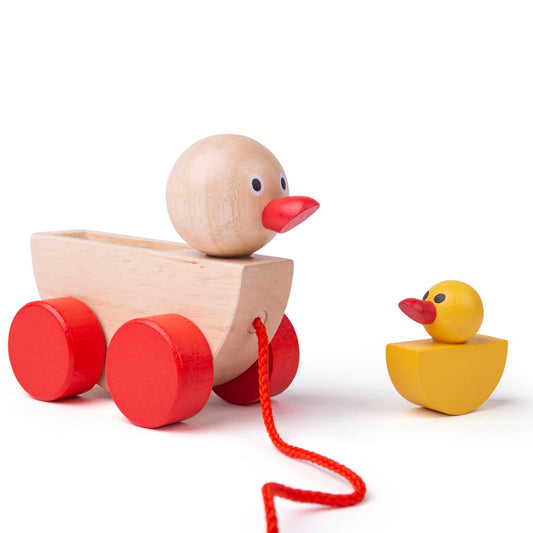 Figurine à tirer canard avec instantané